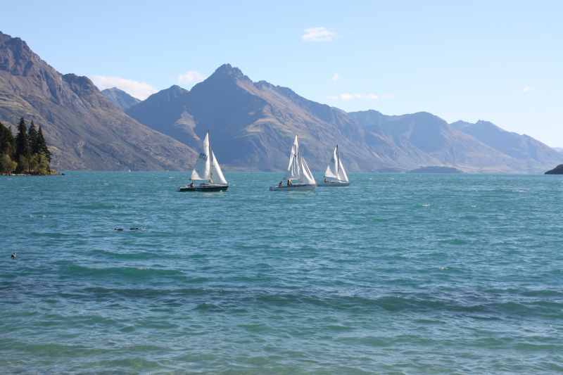 Nieuw-Zeeland 2011 - 1644